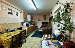 Casă primitoare, ideală pentru familie sau mică afacere