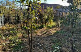 Casă primitoare, ideală pentru familie sau mică afacere