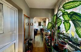 Casă primitoare, ideală pentru familie sau mică afacere