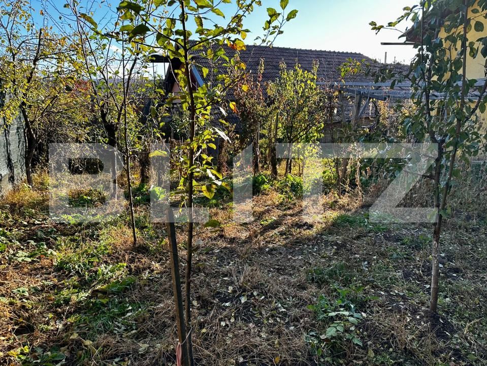 Casa de vânzare 4 camere Dambul Rotund - 180737CV | BLITZ Cluj-Napoca | Poza7