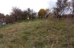 Investiție! Teren intravilan construibil 1651 mp, 25 m front, Filea-Ciurila!