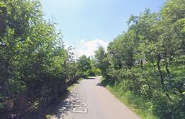 Investiție! Teren intravilan construibil 1651 mp, 25 m front, Filea-Ciurila!