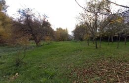 Investiție! Teren intravilan construibil 1651 mp, 25 m front, Filea-Ciurila!