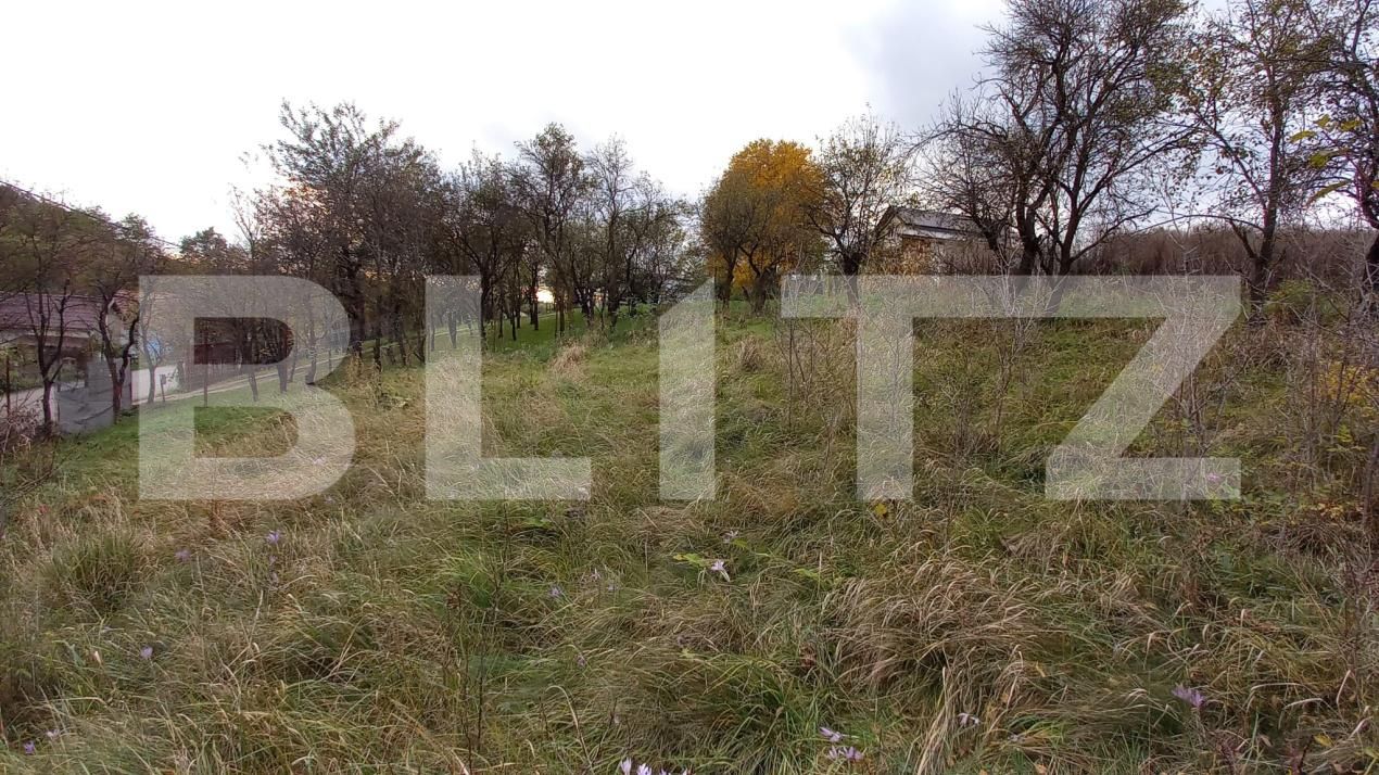 Teren de vânzare Exterior Sud - 180752TV | BLITZ Cluj-Napoca | Poza3