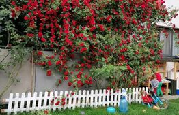 Apartament 3 camere la cheie, cu gradina 77mp, parcare, zona Tineretului