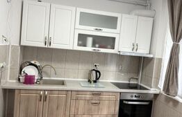 Apartament cu 2 camere, la prima inchiriere, zona Carrefour C-tin Brâncuși 