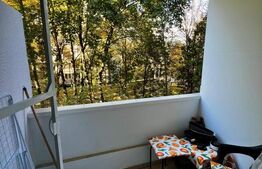 Exclusiv-Apartamet 1 camera, 28 mp, balcon, zona Aleea Detunata