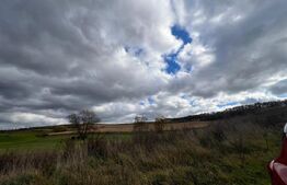 Teren de vanzare perfect pentru investitie in Babutiu