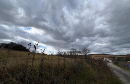 Teren de vanzare perfect pentru investitie in Babutiu