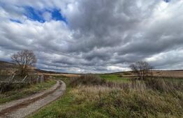 Teren de vanzare perfect pentru investitie in Babutiu