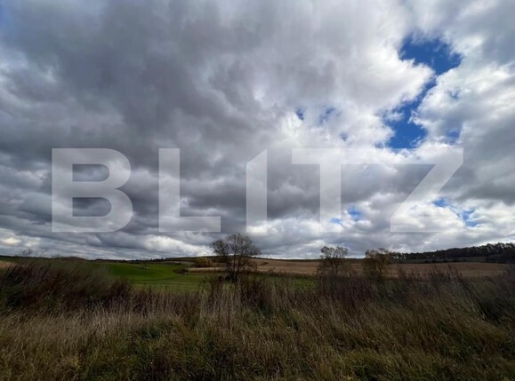 Teren de vânzare Exterior Nord - 180786TV | BLITZ Cluj-Napoca | Poza4