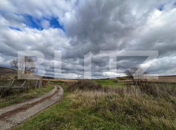 Teren de vânzare Exterior Nord - 180786TV | BLITZ Cluj-Napoca | Poza5