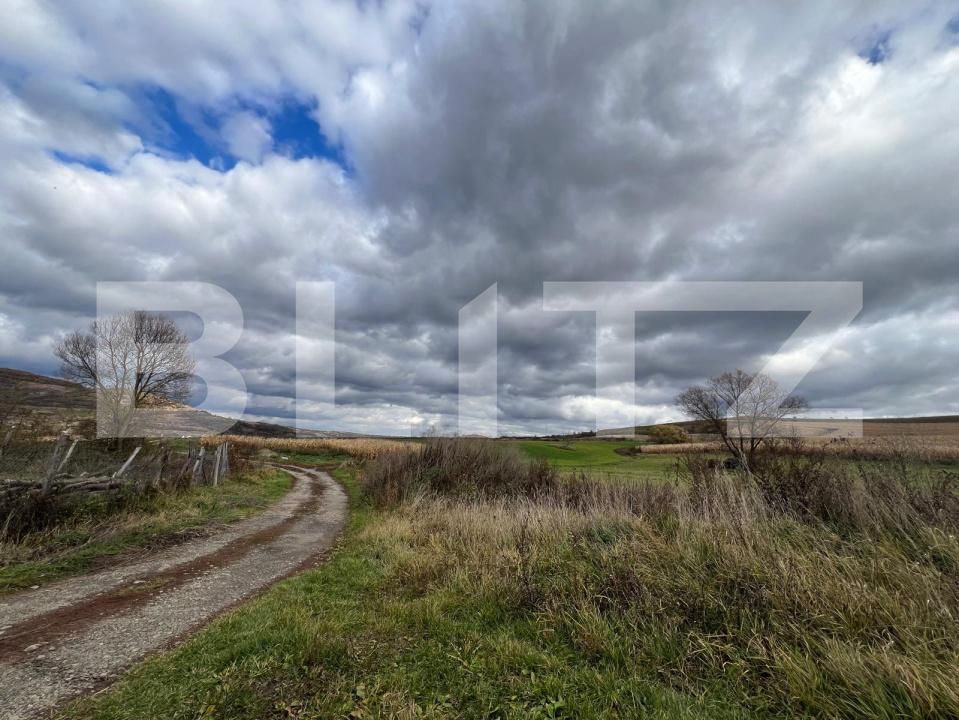 Teren de vânzare Exterior Nord - 180786TV | BLITZ Cluj-Napoca | Poza5