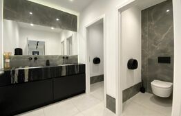 Spatiu cu vad comercial, 415 mp finisat, zona Iulius