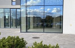 Spatiu cu vad comercial, 415 mp finisat, zona Iulius