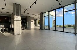 Spatiu cu vad comercial, 415 mp finisat, zona Iulius