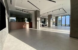 Spatiu cu vad comercial, 415 mp finisat, zona Iulius