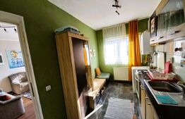 Apartament 1 camera, 48mp, etaj intermediar, petfriendly, zona Stejarului