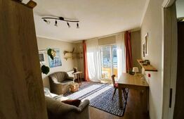 Apartament 1 camera, 48mp, etaj intermediar, petfriendly, zona Stejarului