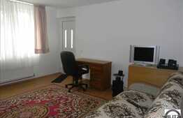 O camera 45 mp, in cartierul Zorilor, Europa.