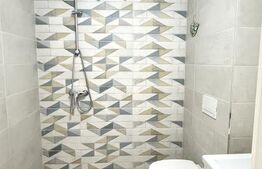 Apartament tip vilă  cu 5 camere și curte în zona Tractorul