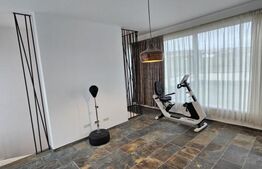 Casa individuala premium cu 6 camere, 208 mp utili, 1000 mp teren, Borhanci!