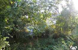 Casa 3 camere, 120 mp, teren 150 mp, zona Septimiu Albini