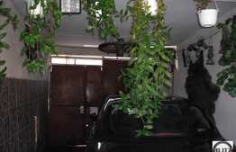 Casa cu front la 2 strazi in Gheorgheni!