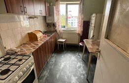 Apartament 2 camere, 50 mp, bloc izolat, zonă liniștită Mănăștur