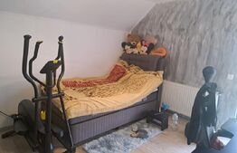 REDUCERE!! Vulcan – casă de vânzare cu panoramă montană deosebită