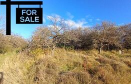 Oportunitate de investitie in zona Wonderland 