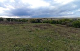 Oportunitate ! Teren intravilan, 1500 mp, sat LIvada , panorama !