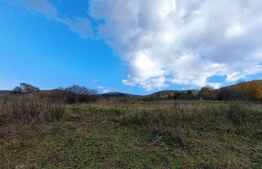 Oportunitate ! Teren intravilan, 1500 mp, sat LIvada , panorama !