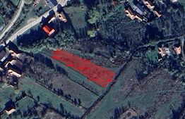 Oportunitate ! Teren intravilan, 1500 mp, sat LIvada , panorama !