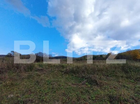 Teren de vânzare Ciurila - 180903TV | BLITZ Cluj-Napoca | Poza3