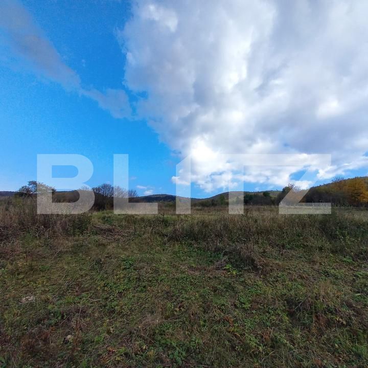 Teren de vânzare Ciurila - 180903TV | BLITZ Cluj-Napoca | Poza3