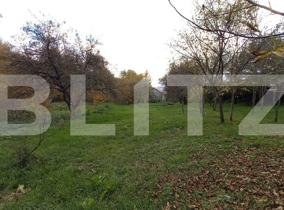 Teren de vânzare Ciurila - 180907TV | BLITZ Cluj-Napoca | Poza2