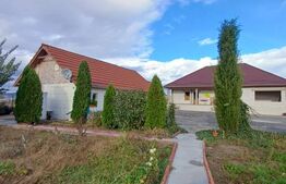 Exclusivitate!!! Doua proprietati, teren 3289 mp, Gligoresti, langa Luna