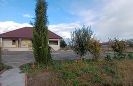 Exclusivitate!!! Doua proprietati, teren 3289 mp, Gligoresti, langa Luna