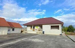 Exclusivitate!!! Doua proprietati, teren 3289 mp, Gligoresti, langa Luna