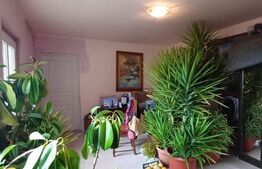 Exclusivitate!!! Doua proprietati, teren 3289 mp, Gligoresti, langa Luna