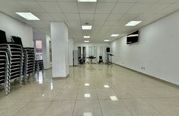 Casă individuală multifuncțională în Gruia – investiție excelentă, 550 mp utili