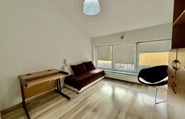 Casă individuală multifuncțională în Gruia – investiție excelentă, 550 mp utili