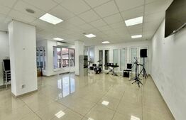 Casă individuală multifuncțională în Gruia – investiție excelentă, 550 mp utili