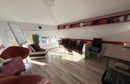 Casă individuală multifuncțională în Gruia – investiție excelentă, 550 mp utili