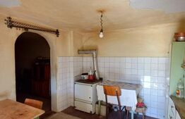 Casa renovabila cu 11508 mp teren, in Copaceni