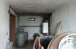 Casa renovabila cu 11508 mp teren, in Copaceni