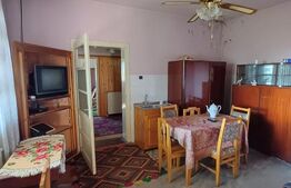 Casa renovabila cu 11508 mp teren, in Copaceni