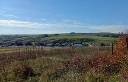 Teren intravilan 2877 mp, in Copaceni