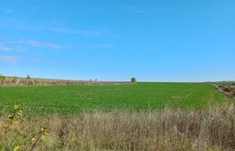 Teren intravilan 2877 mp, in Copaceni